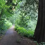 Revelstoke Rv & Cabin Resort