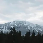 The Willow Revelstoke - Top Floor Condo
