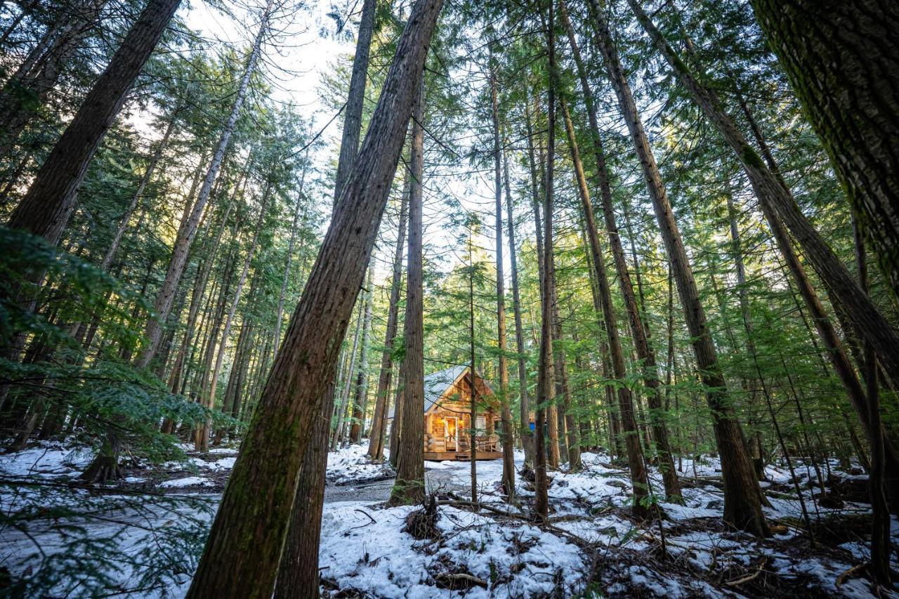 Boulder Mountain Campsite *