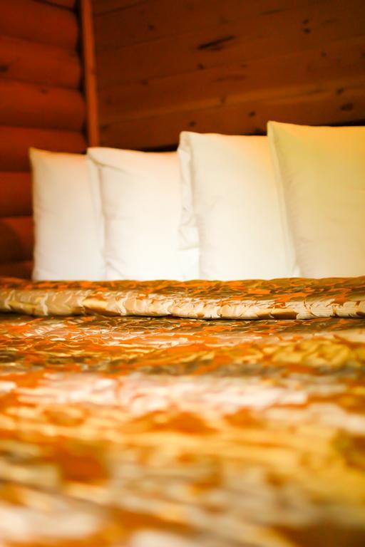 Mt. Alpine Chalets Lodge *