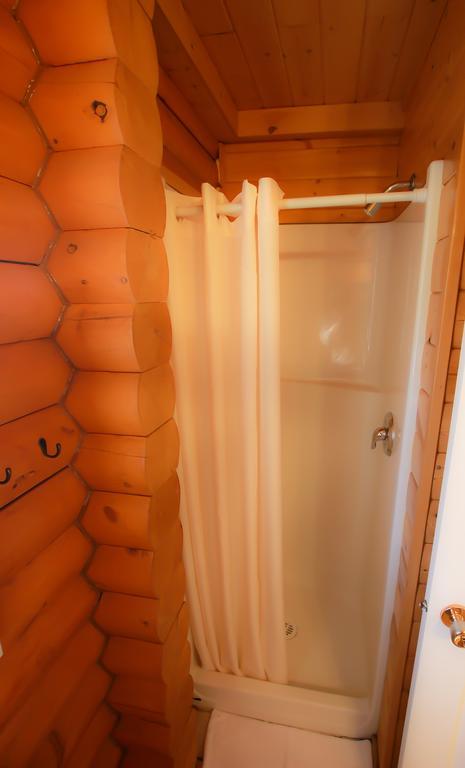 Mt. Alpine Chalets Revelstoke