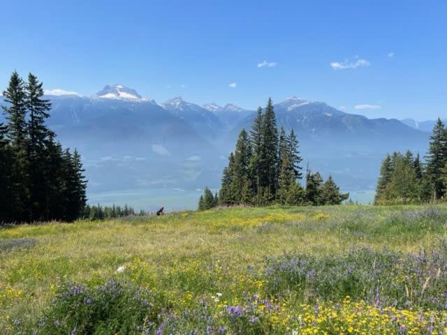 Le Refuge - With Hot Tub Holiday home Revelstoke