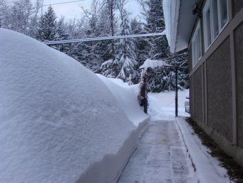 Alpenrose Revelstoke Bed & Breakfast