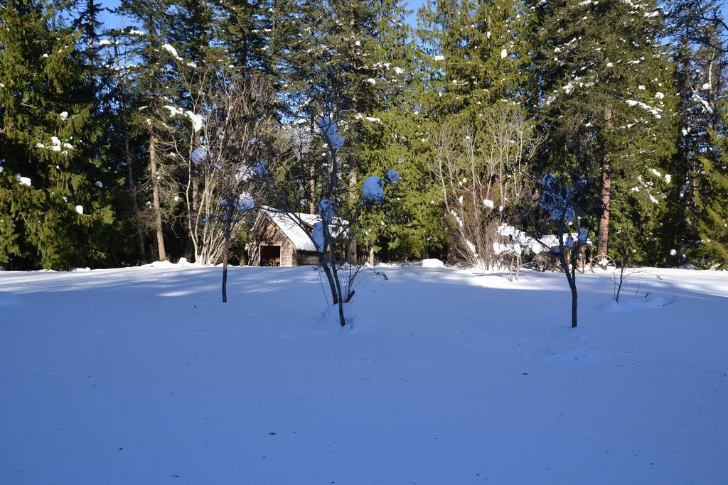 Bed & Breakfast The Pines