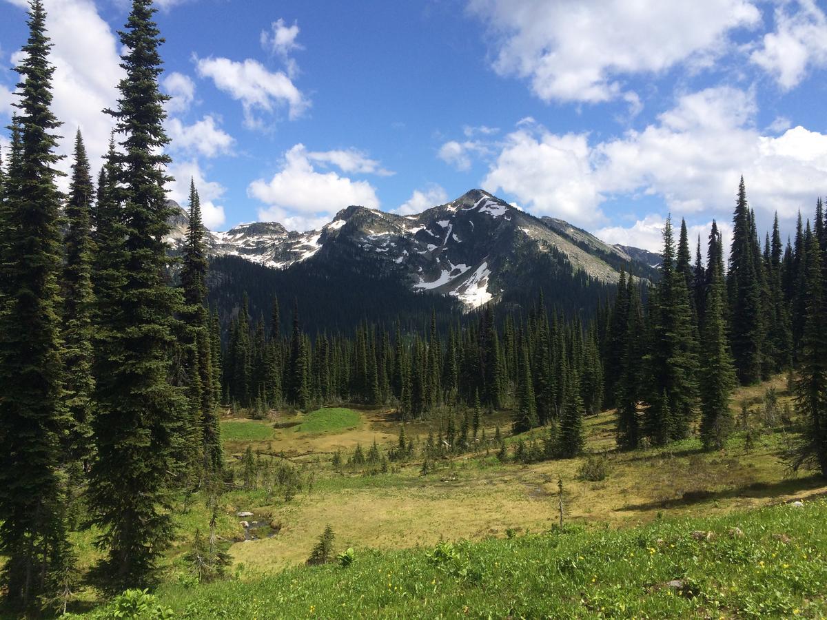 Bed & Breakfast Alpenrose Revelstoke Bed & Breakfast