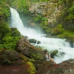 Mulvehill Creek Wilderness Inn And Wedding Chapel