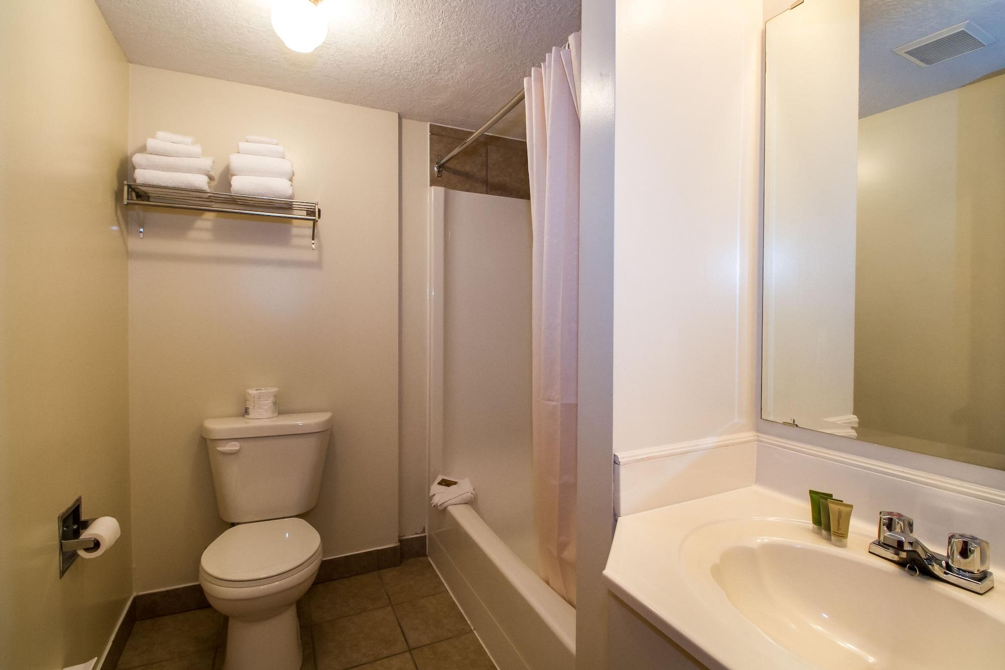 Three Valley Chateau Hotel 3*