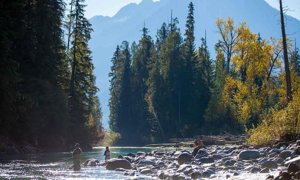 Hotel Eleven Revelstoke