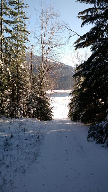 Mulvehill Creek Wilderness And Wedding Chapel