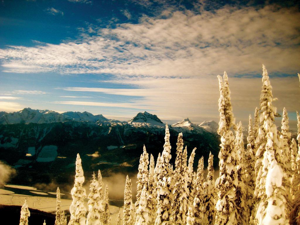 Glacier House &