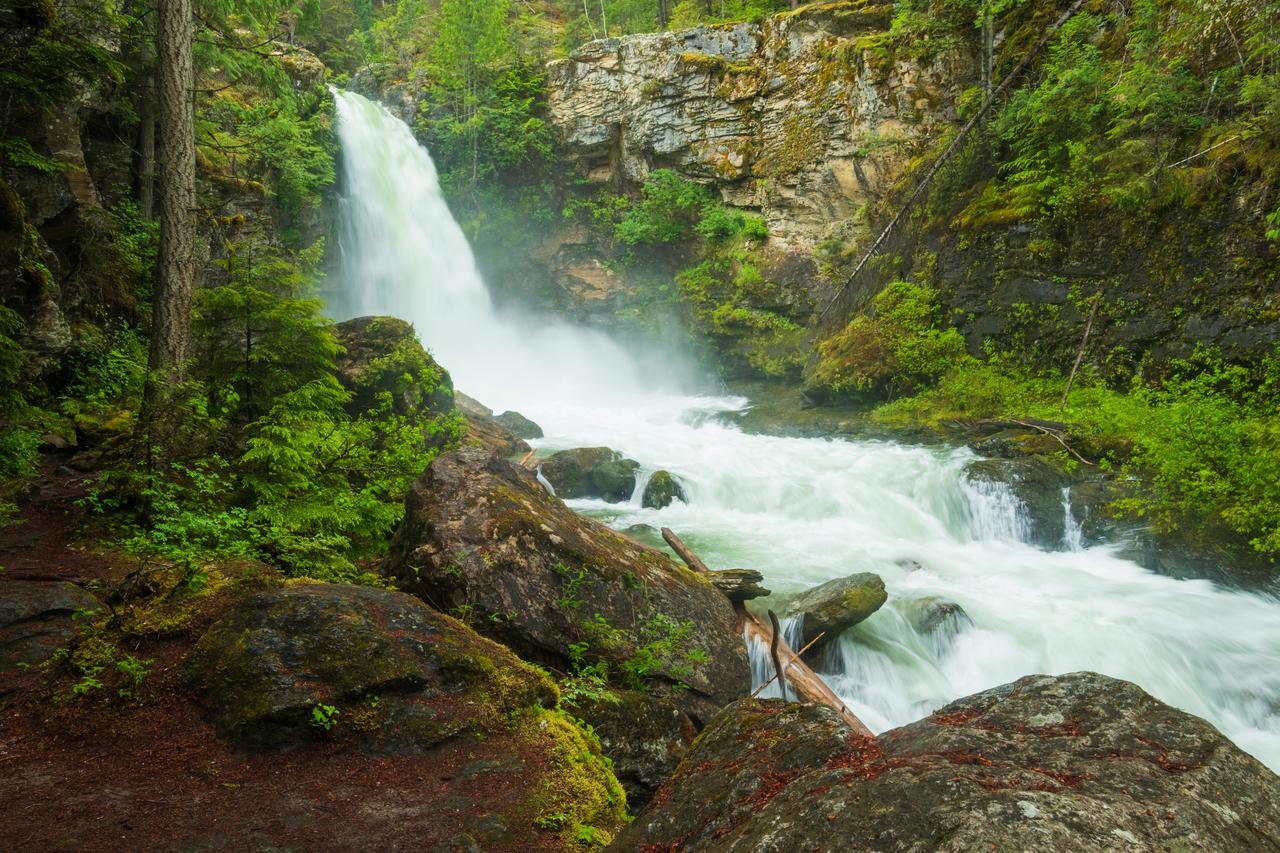 Bed & Breakfast Mulvehill Creek Wilderness And Wedding Chapel Revelstoke