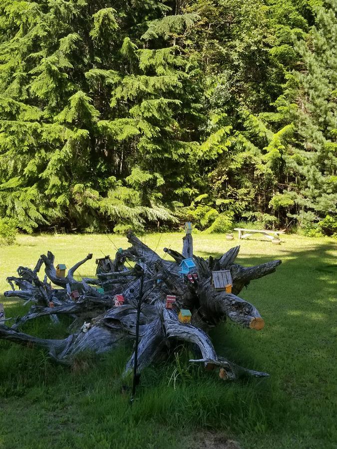 Bed & Breakfast Mulvehill Creek Wilderness And Wedding Chapel