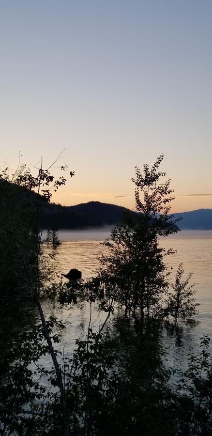 Mulvehill Creek Wilderness And Wedding Chapel Bed & Breakfast 5*
