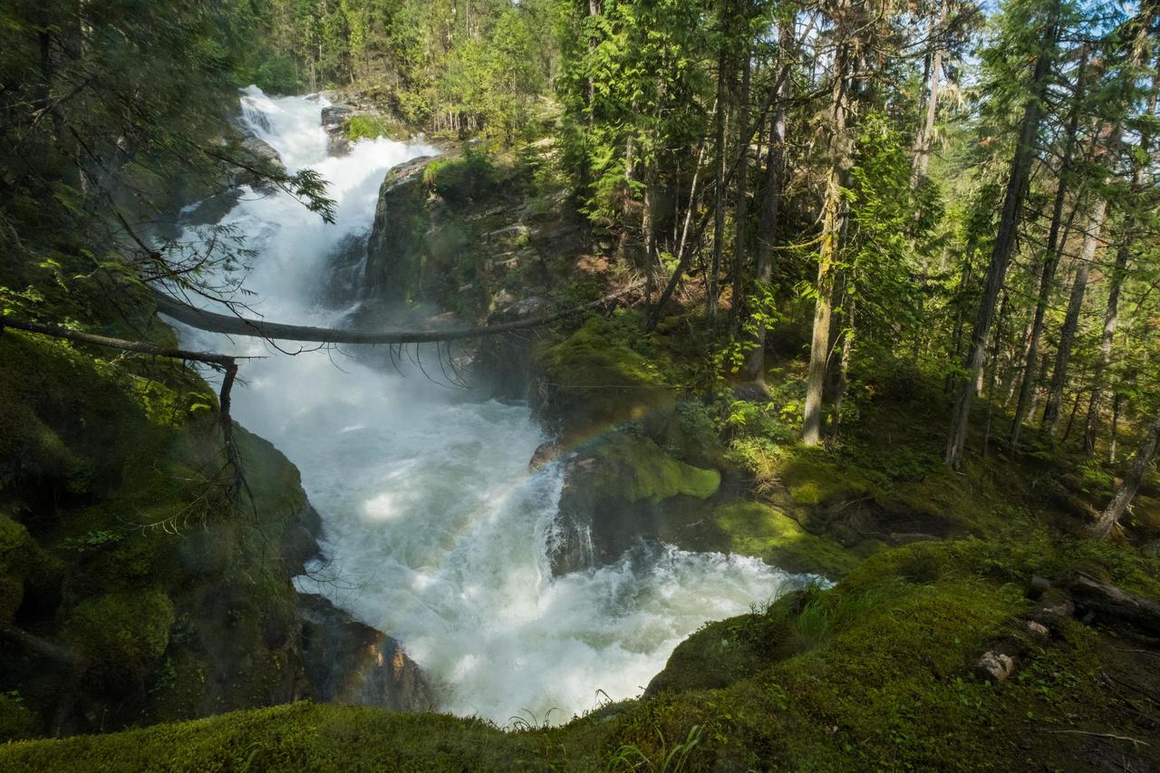 Mulvehill Creek Wilderness And Wedding Chapel