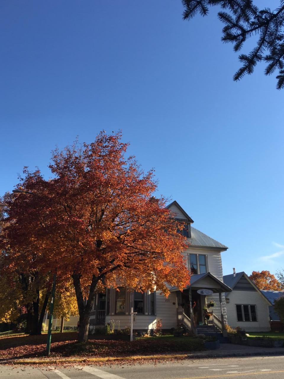 Mccarty House Bed & Breakfast *